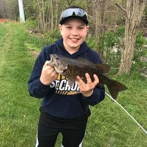 Meet your Posher, Wiley